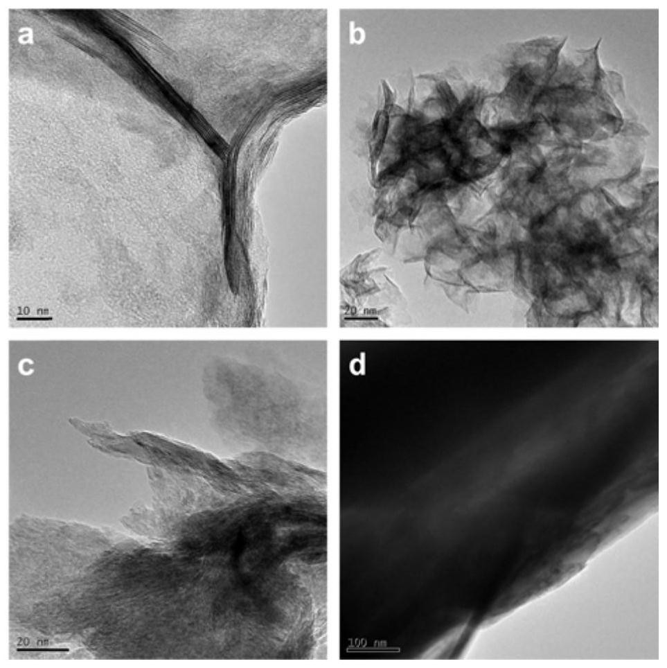 Catalyst for preparing methanol through carbon dioxide hydrogenation and preparation method and application of catalyst