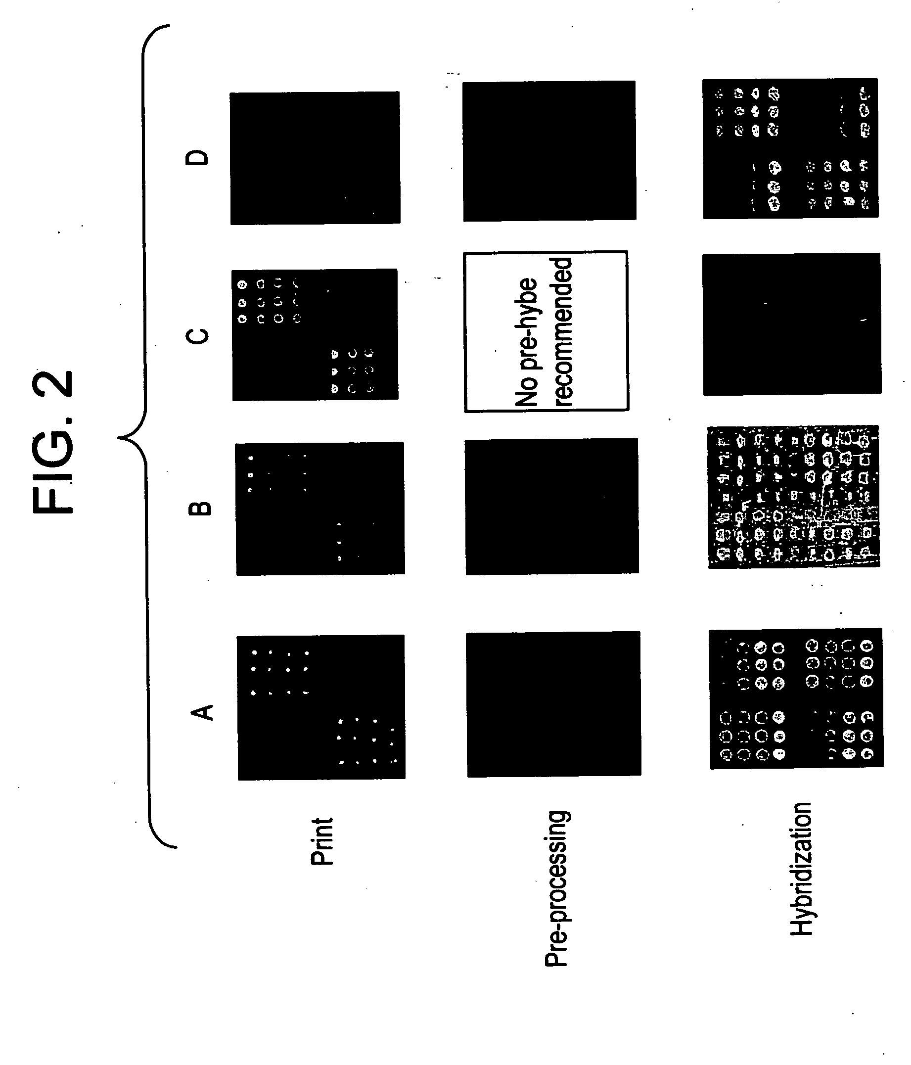 Reagent systems for biological assays