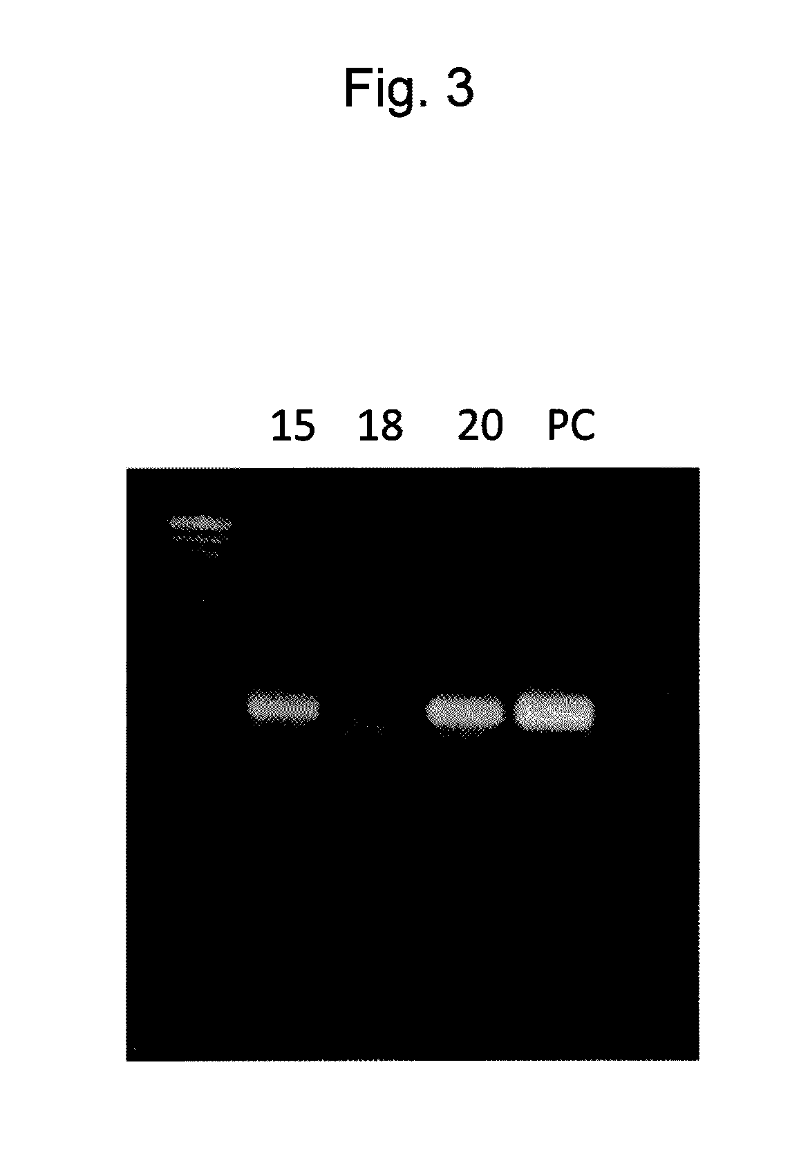 Plant transformation method