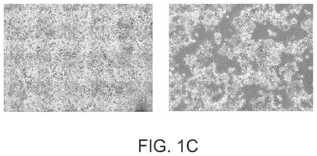 Vaccine in the form of a recombinant sero type 9 avian adenovirus vector