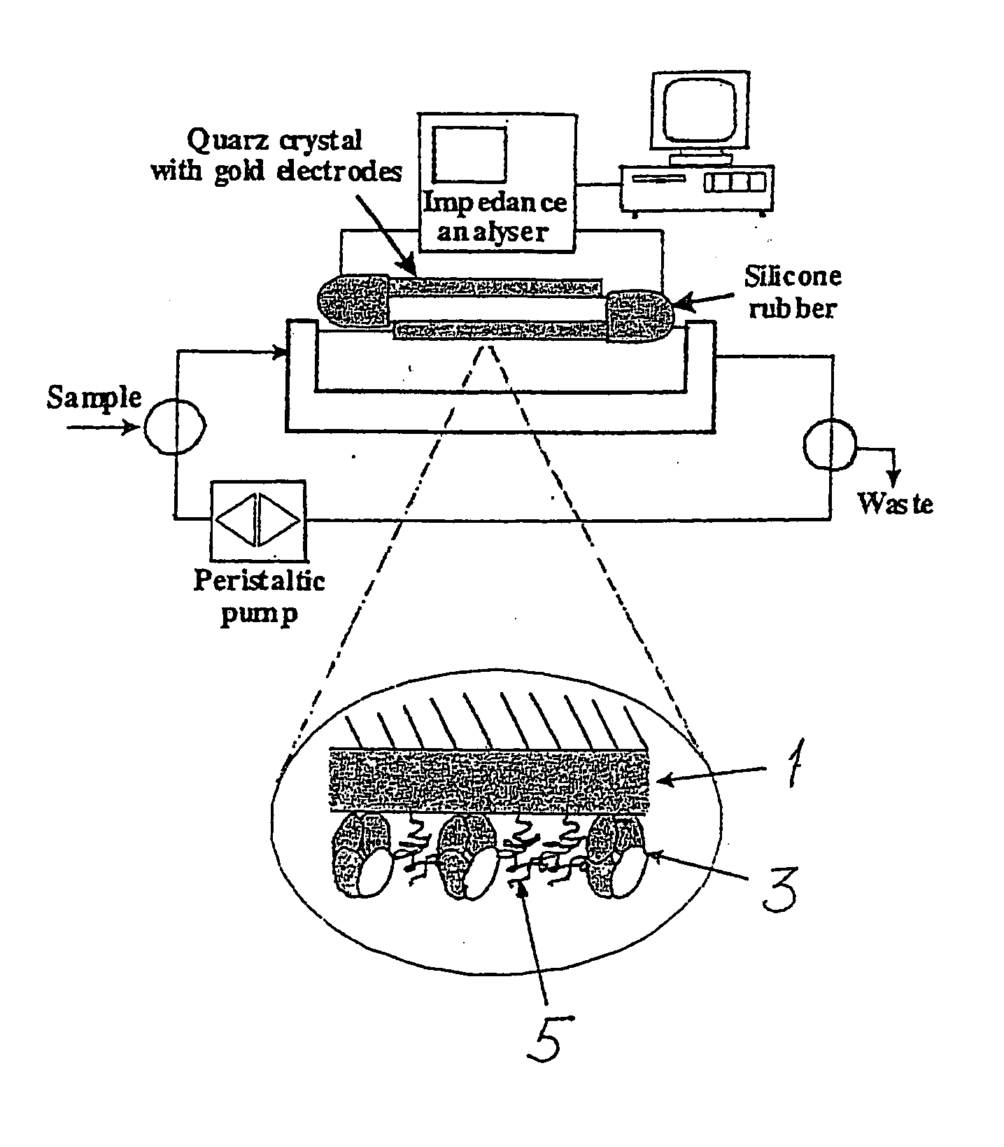 Method and biosensor for analysis