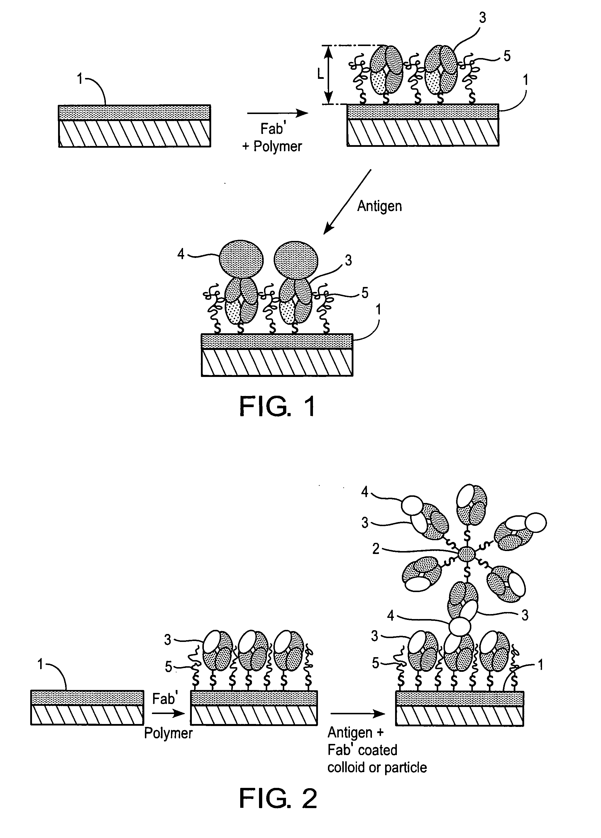 Method and biosensor for analysis