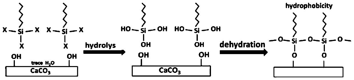 CaCO3 surface treatment method for high-filling PBAT biodegradable film and preparation method of film