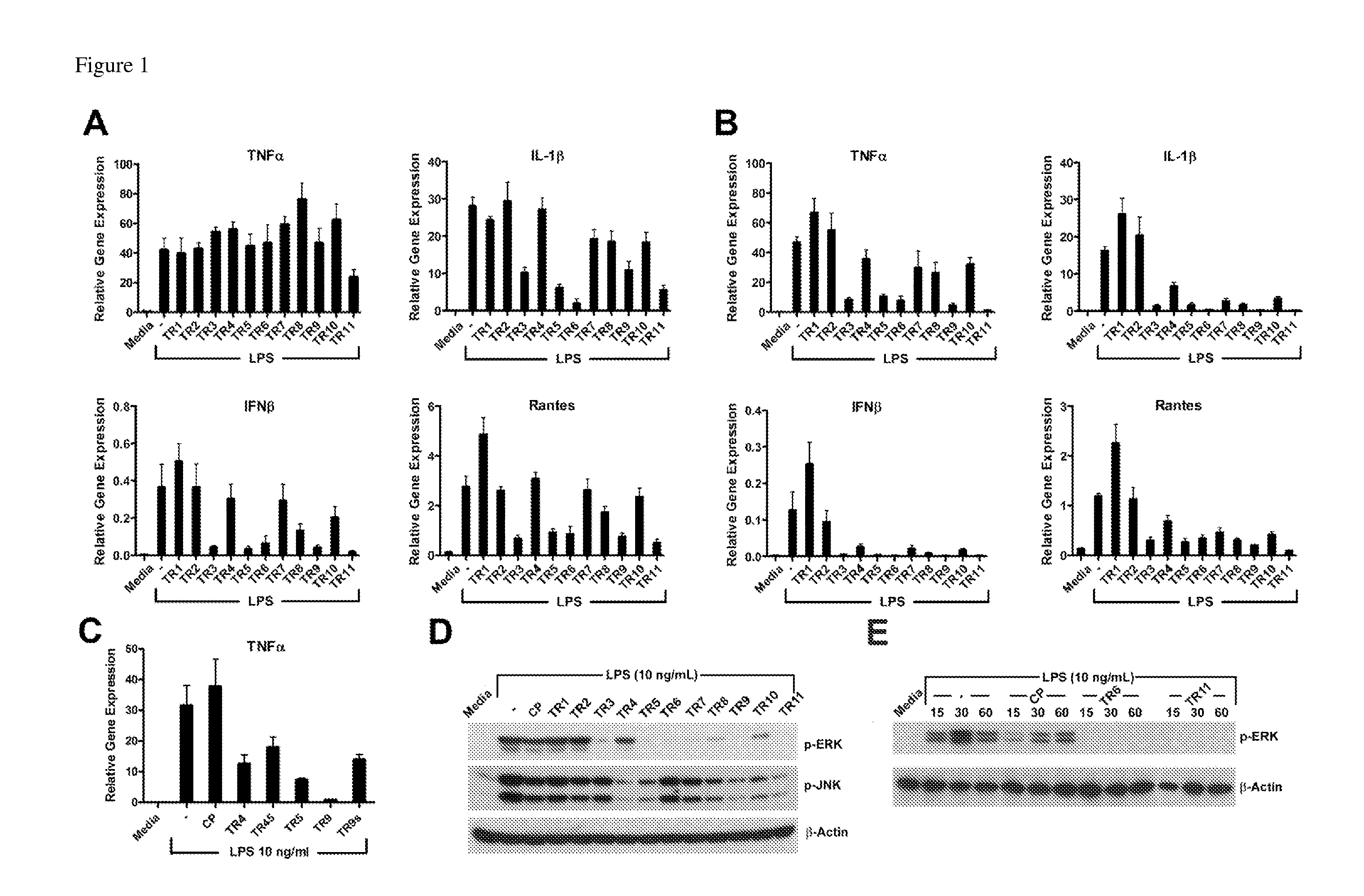 Inhibitors of tlr signaling by targeting tir domain interfaces