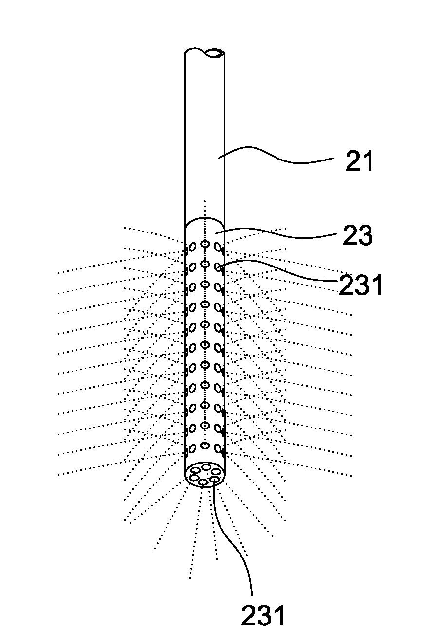 Intraluminal therapy system for gastrointestinal infections