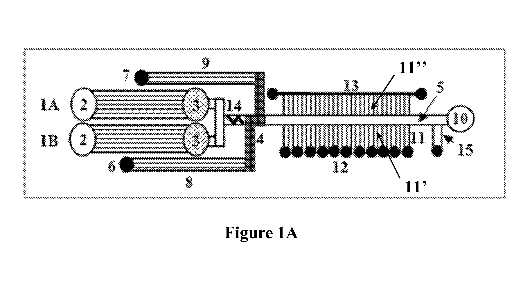 Microfluidic devices and methods facilitating high-throughput, on-chip detection and separation techniques