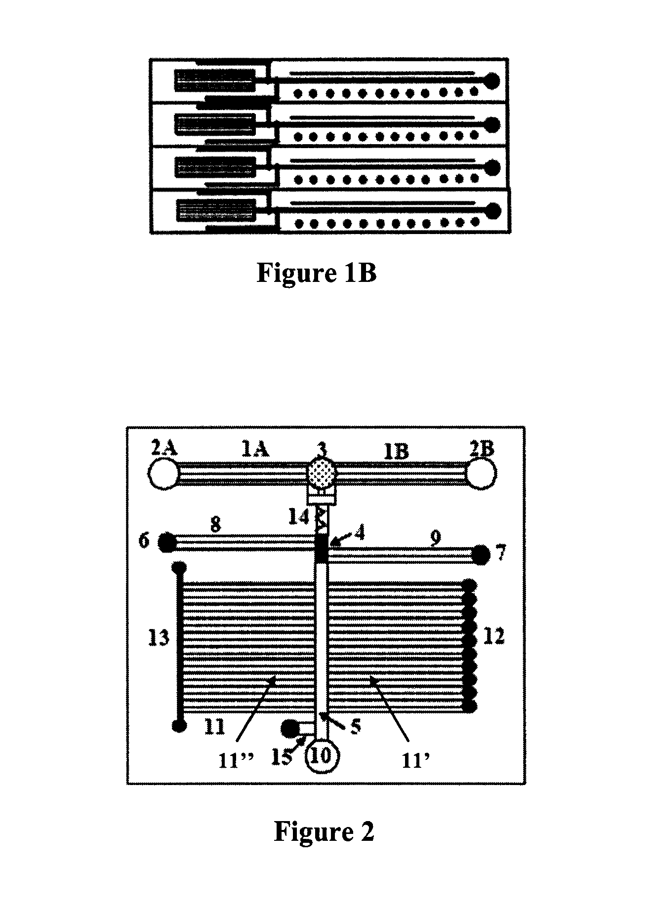 Microfluidic devices and methods facilitating high-throughput, on-chip detection and separation techniques