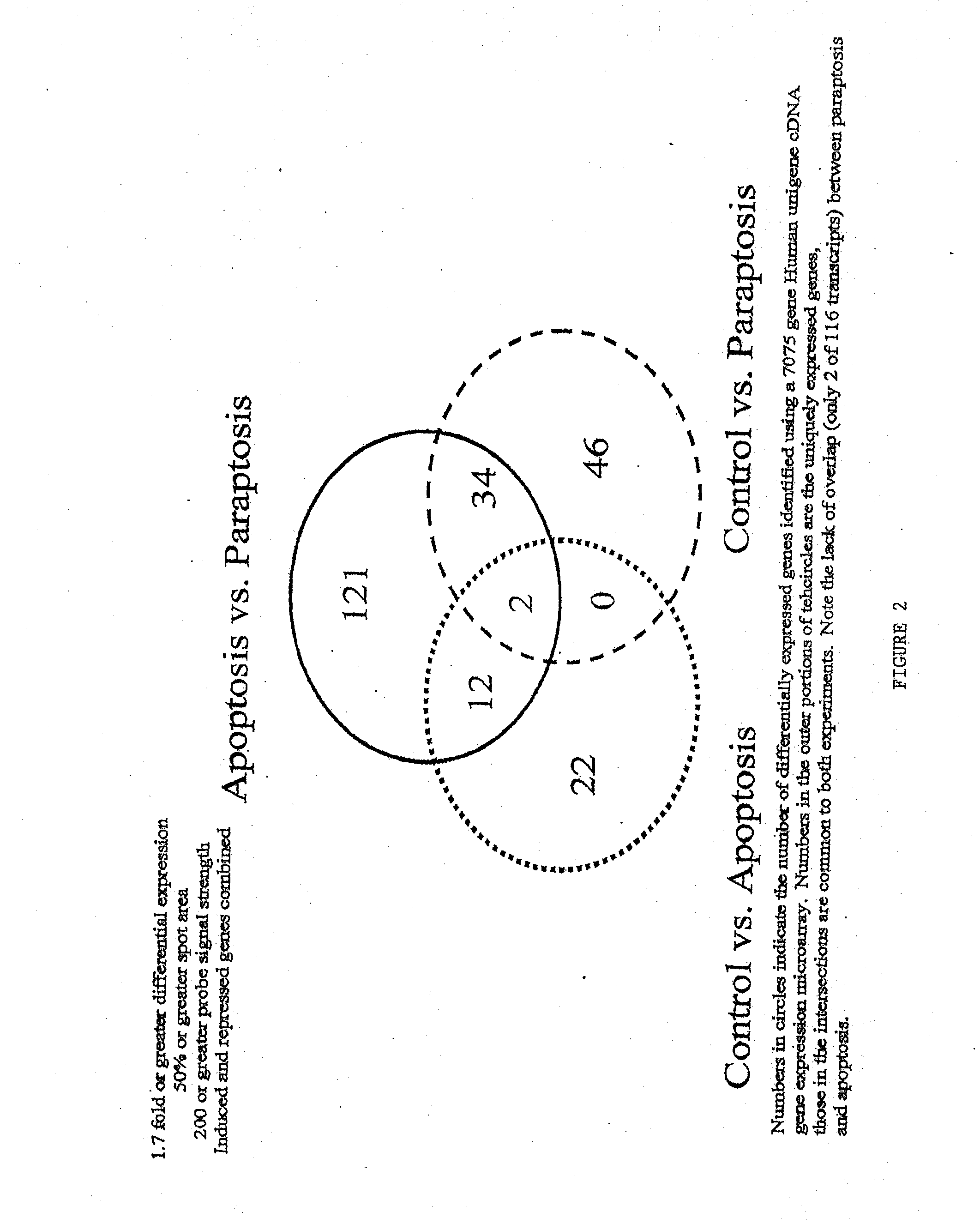 Modulators of paraptosis and related methods