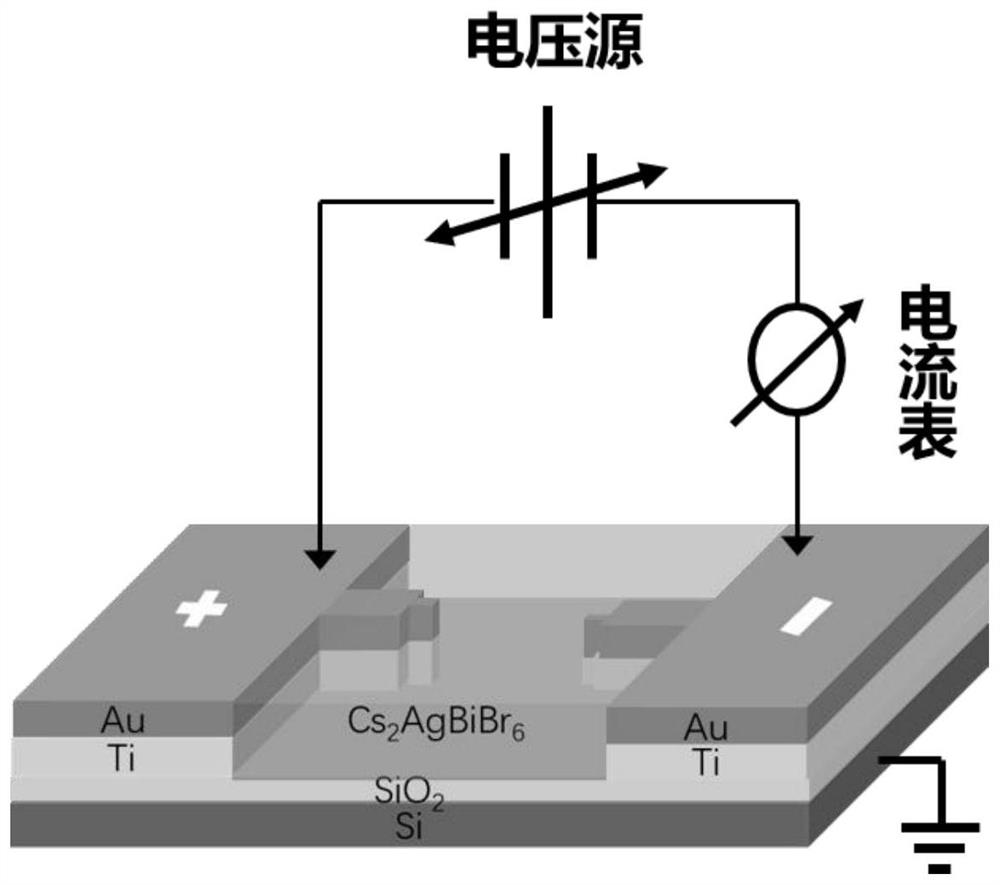 Bionic neuron memristor and preparation method thereof