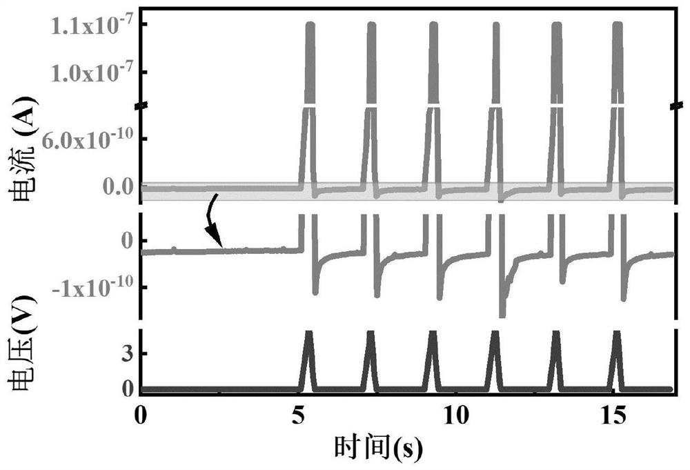 Bionic neuron memristor and preparation method thereof