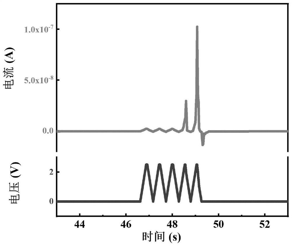 Bionic neuron memristor and preparation method thereof