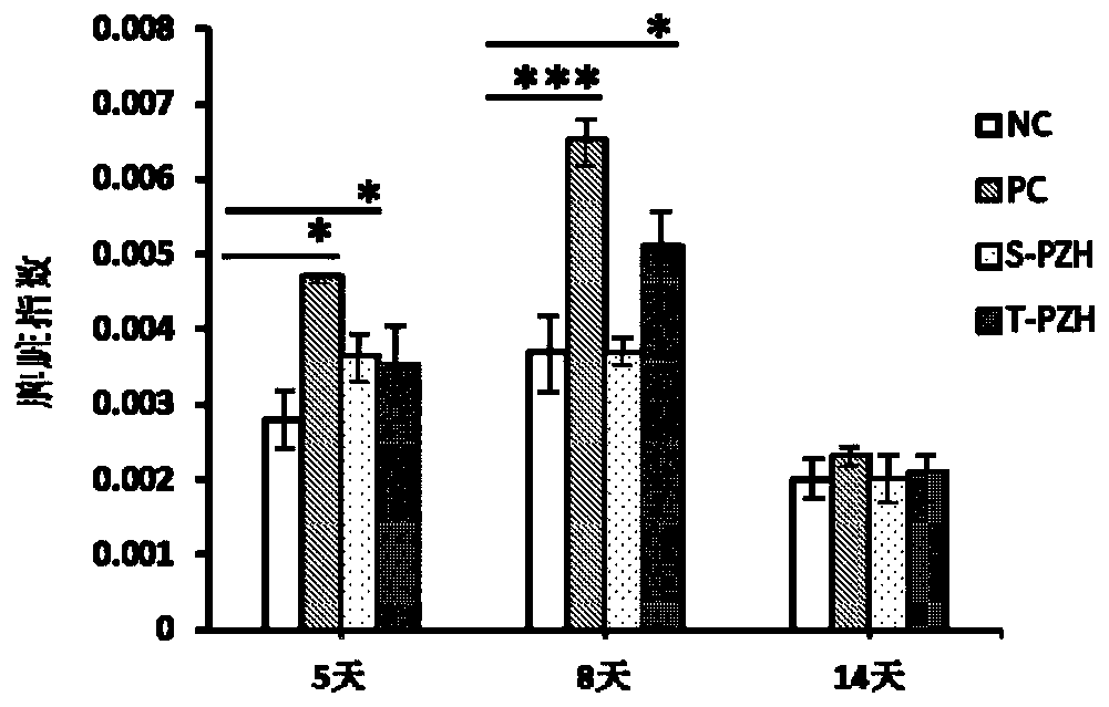 Application of anti-inflammatory and analgesic bolus and preparation thereof in preparation of medicine for promoting refractory wound healing