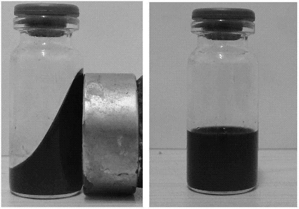 Polyamino acid coated nano-magnetic fluid composite material and preparation method for same
