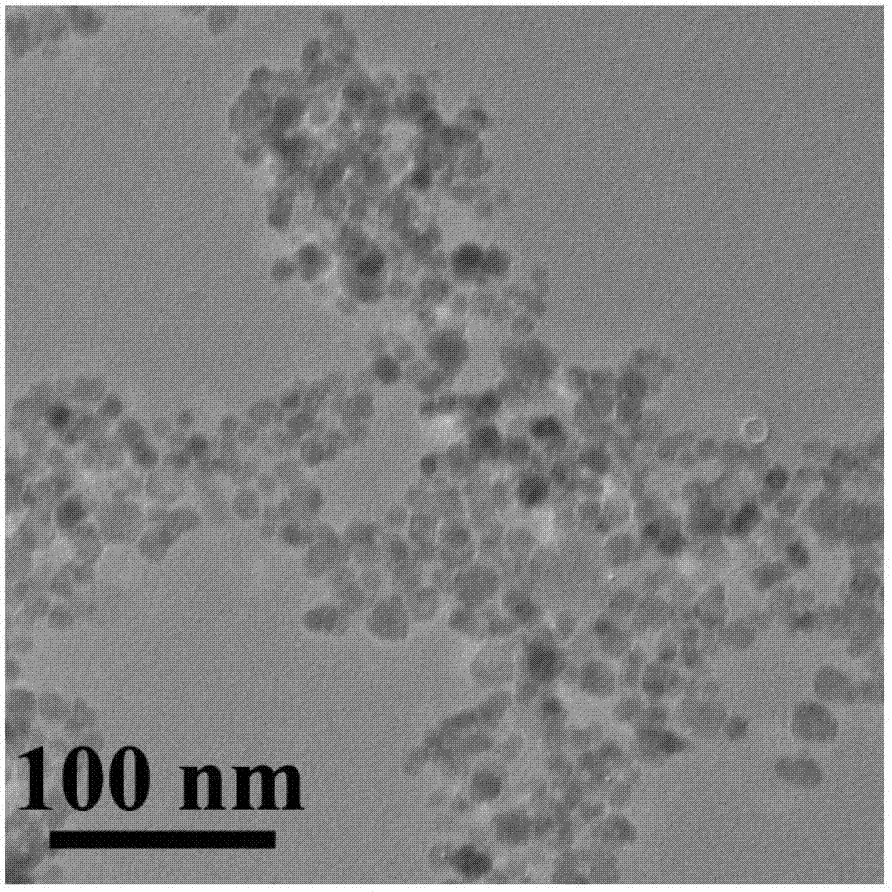 Polyamino acid coated nano-magnetic fluid composite material and preparation method for same