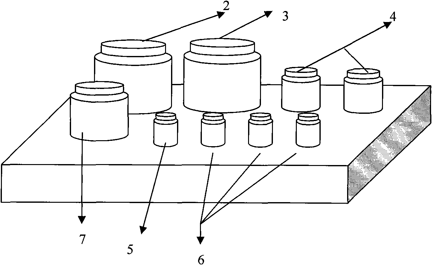 Protein chip for detecting multiple veterinary drug residues and kit thereof
