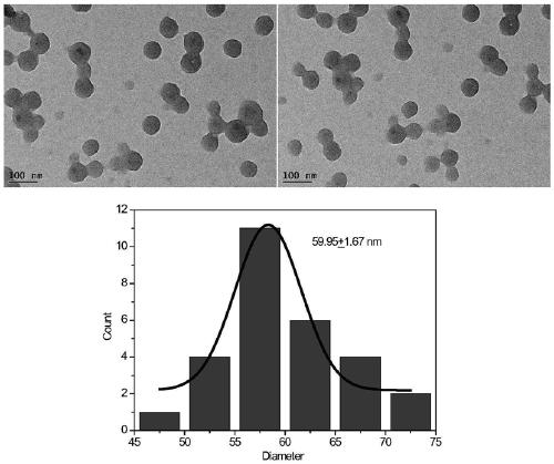 Application of carbonyl iron-sulfur cluster compound nanoparticles in drug preparation