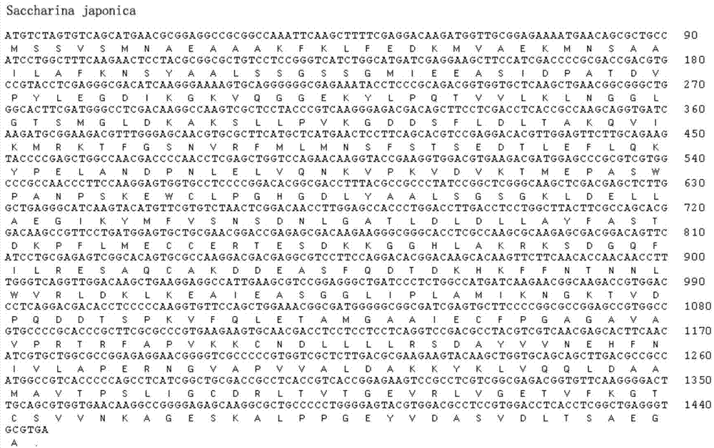 Kelp uridine diphosphate (UDP)-glucose pyrophosphorylase (UGPase) gene