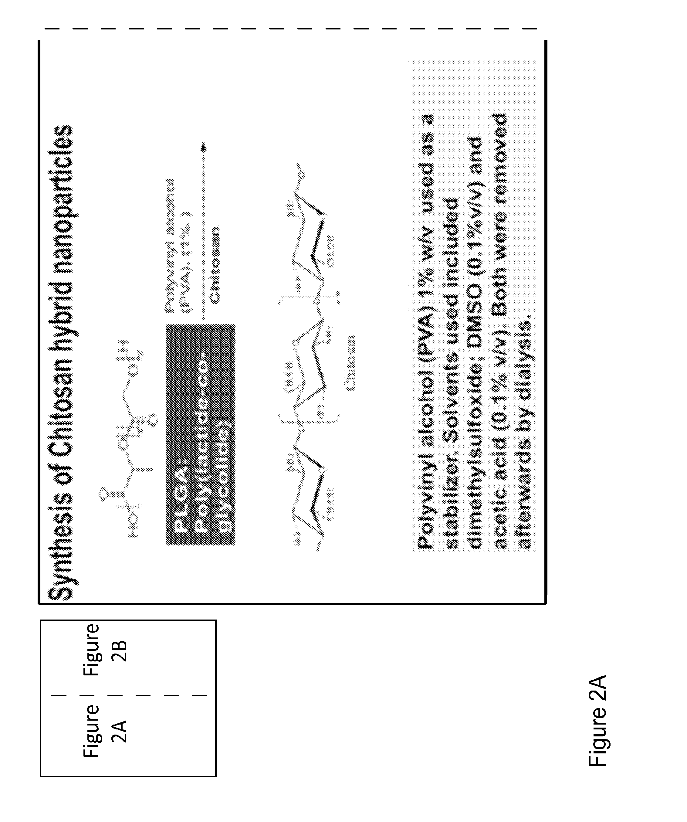 Novel hemostatic patch and uses thereof