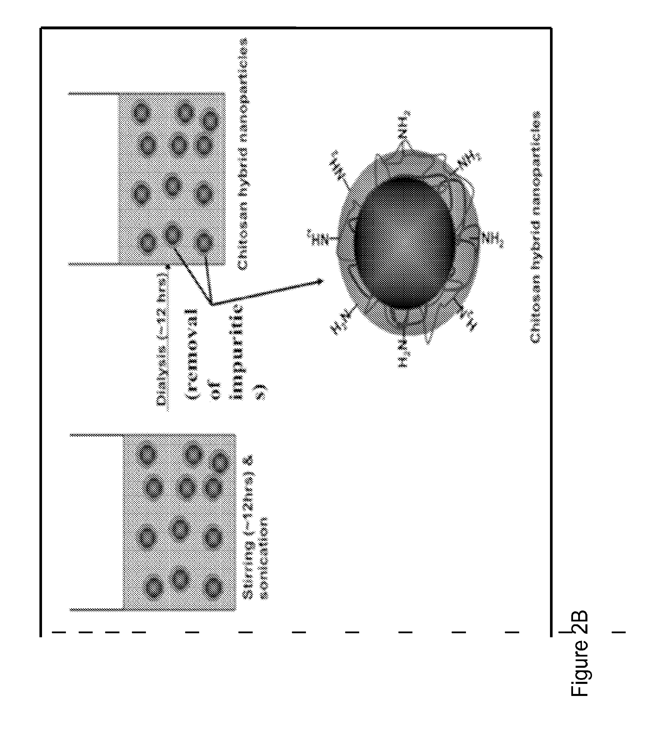 Novel hemostatic patch and uses thereof