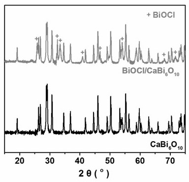 Bismuth oxyhalide/calcium bismuthate composite material based on fto surface, preparation method and application of dyes in photocatalytic degradation of water