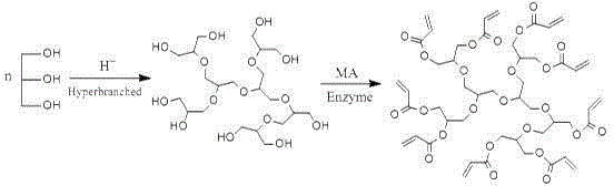 A kind of polycyclic amine modified (branched) polyether acrylate and preparation method thereof
