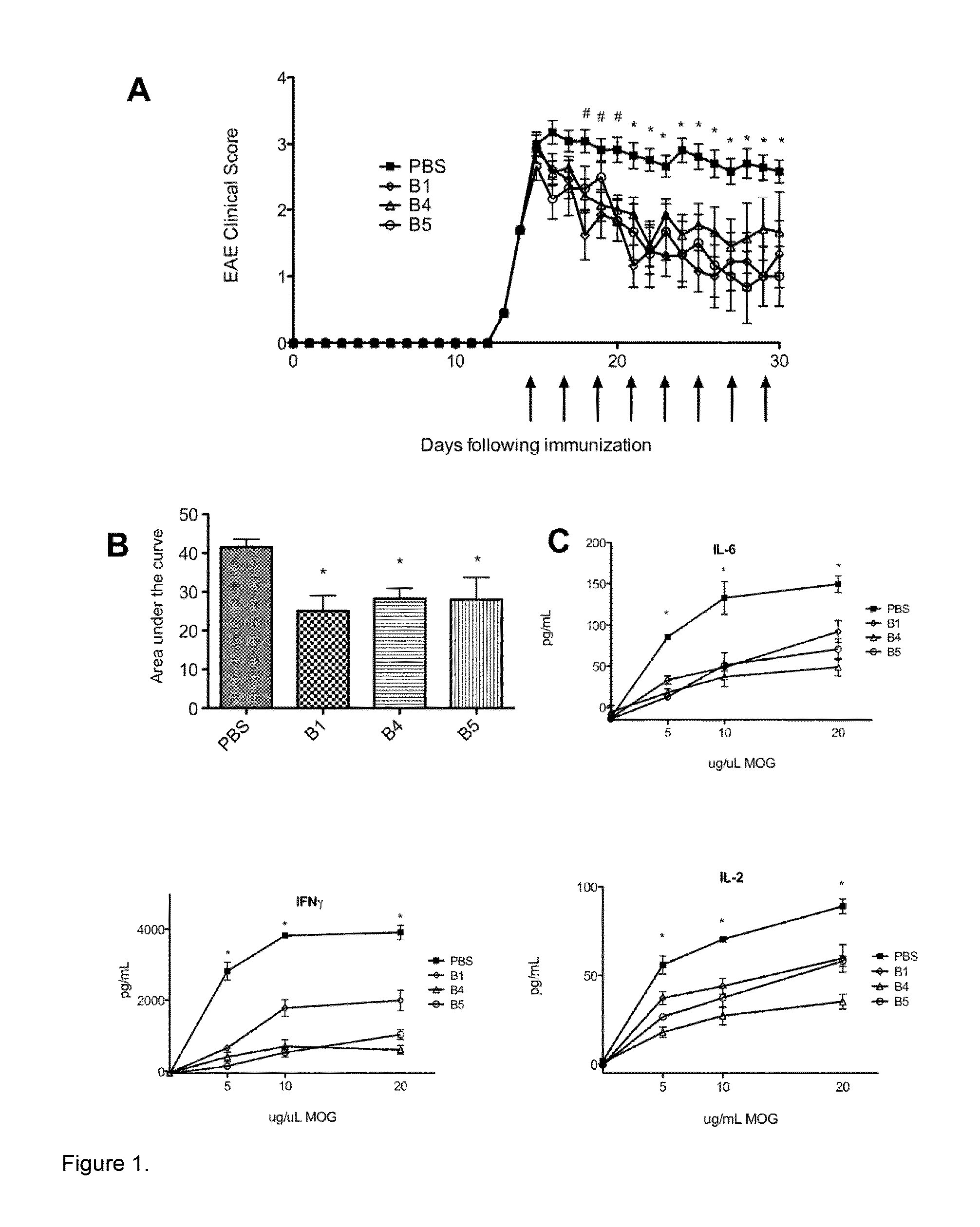 Small Heat Shock Proteins and Active Fragments Thereof as a Therapy for Inflammation and Ischemia