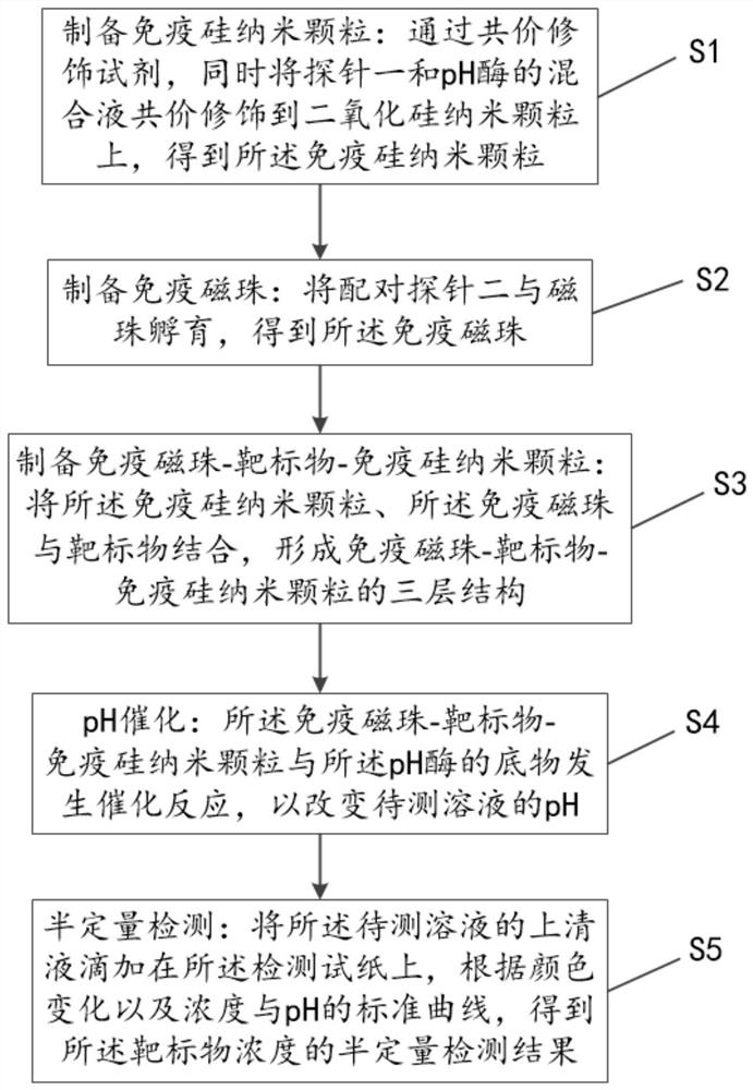 Target object semi-quantitative detection method based on detection test paper and detection test paper