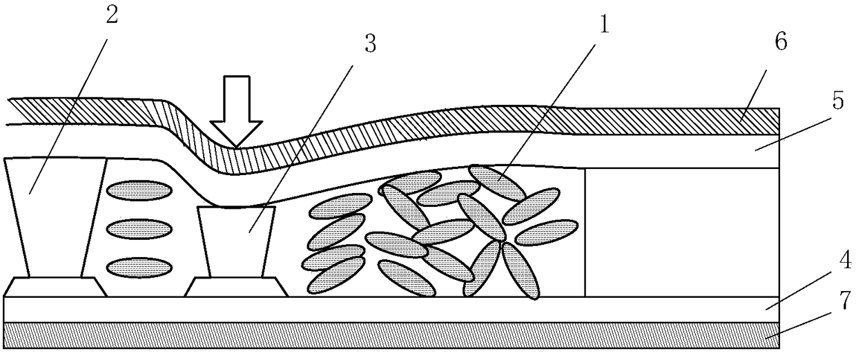 A kind of polarizer and its preparation method, liquid crystal display device