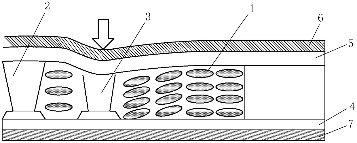 A kind of polarizer and its preparation method, liquid crystal display device