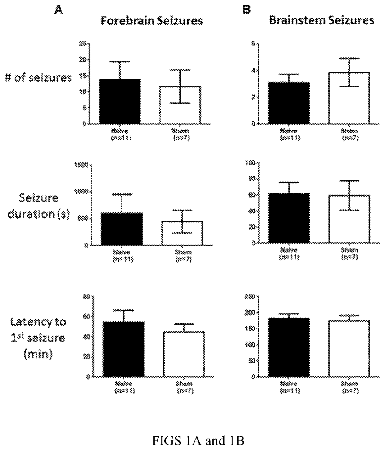 Stimulation of the ventral pallidum for the treatment of epilepsy