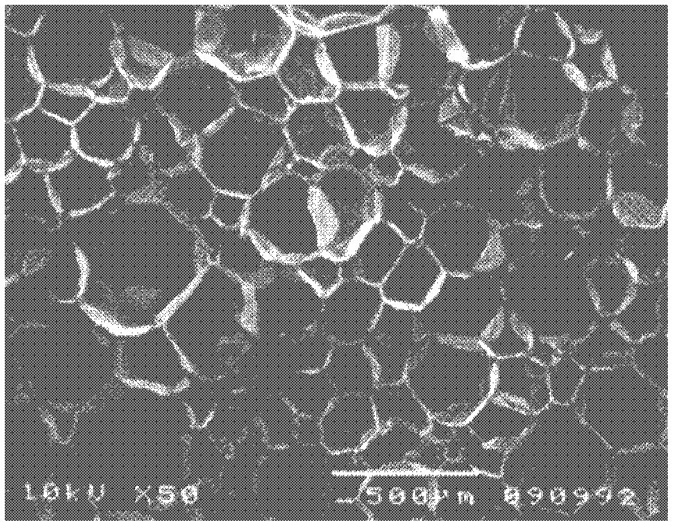 Preparation method of polyurethane foam material