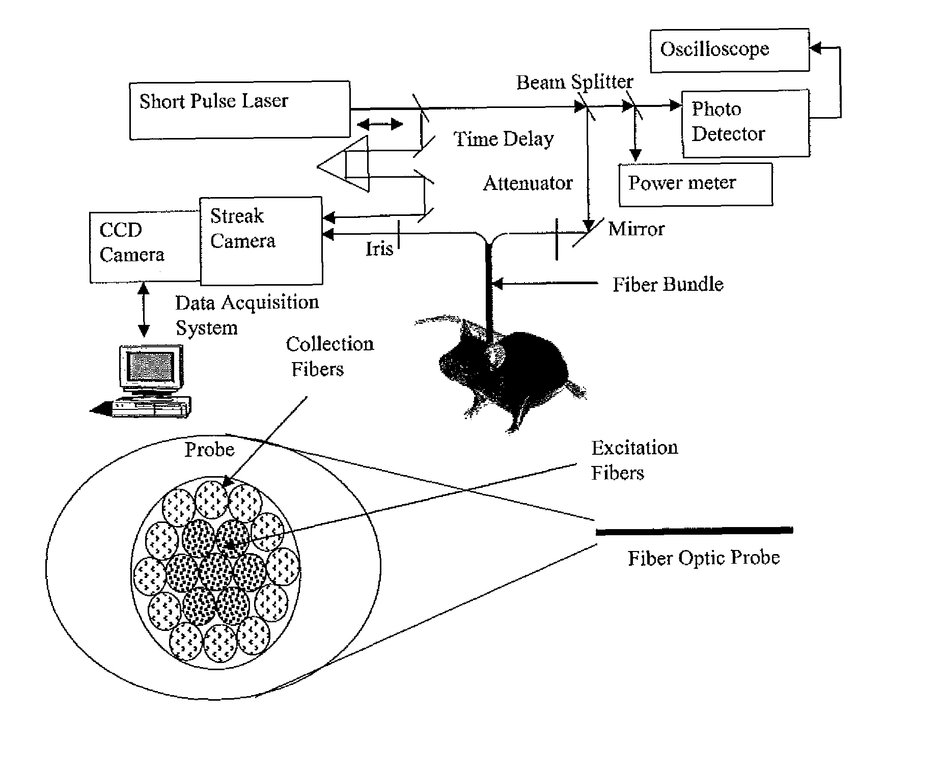 Optical tomography system using short-pulse laser for early cancer diagnostics