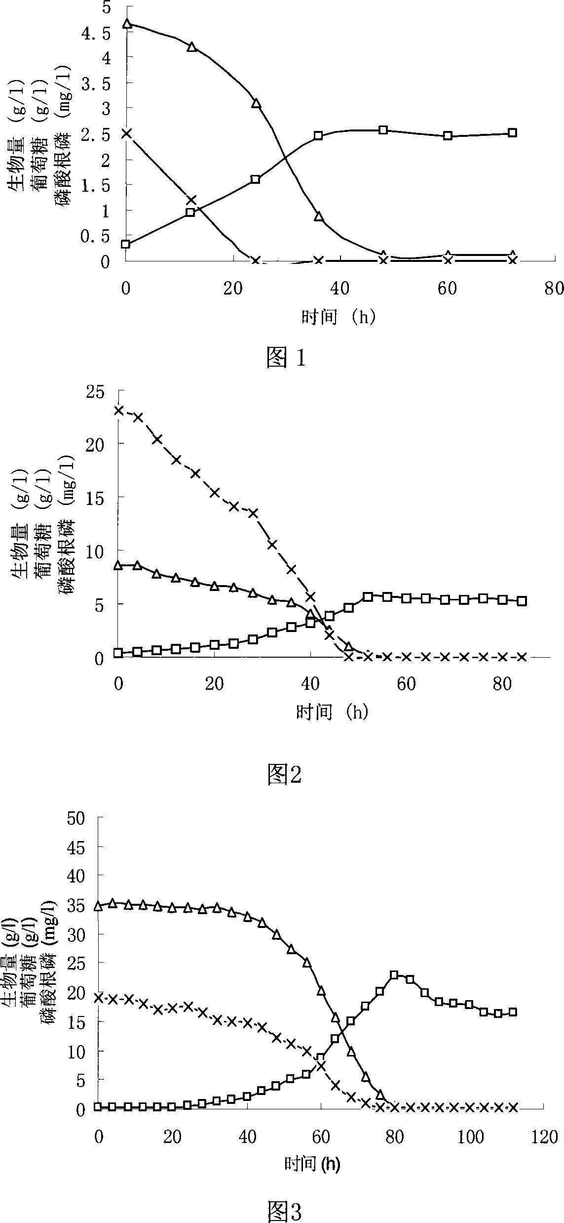 Low-phosphor culture medium for chlorella heterotrophy culture