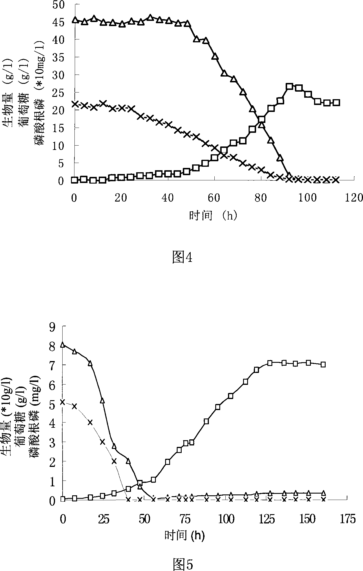 Low-phosphor culture medium for chlorella heterotrophy culture