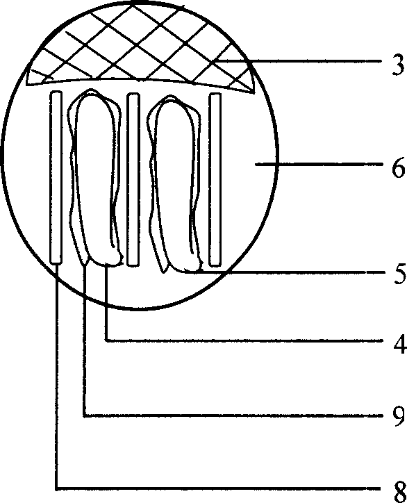 Solid electrolytic capacitor and method for manufacturing the same