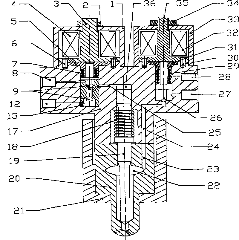 Engine fuel cylinder inner direct ejection device