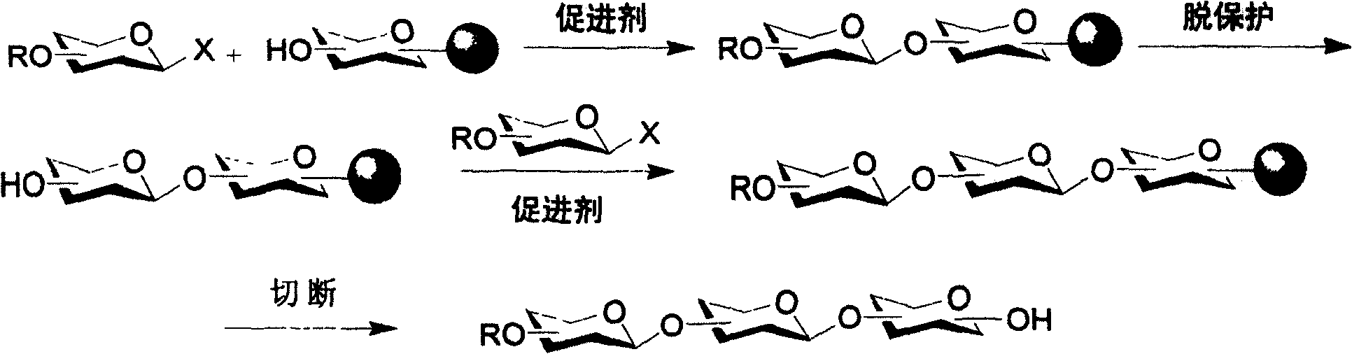 Iterative oligosaccharide synthesis