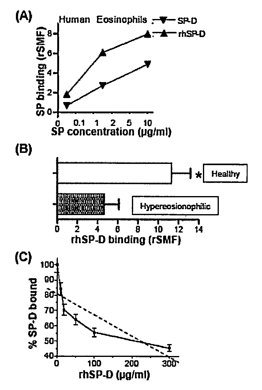 Human lung surfactant protein, SP-D, modulates eosinophil activation and survival and enhances phagocytosis of apoptotic bosinophils