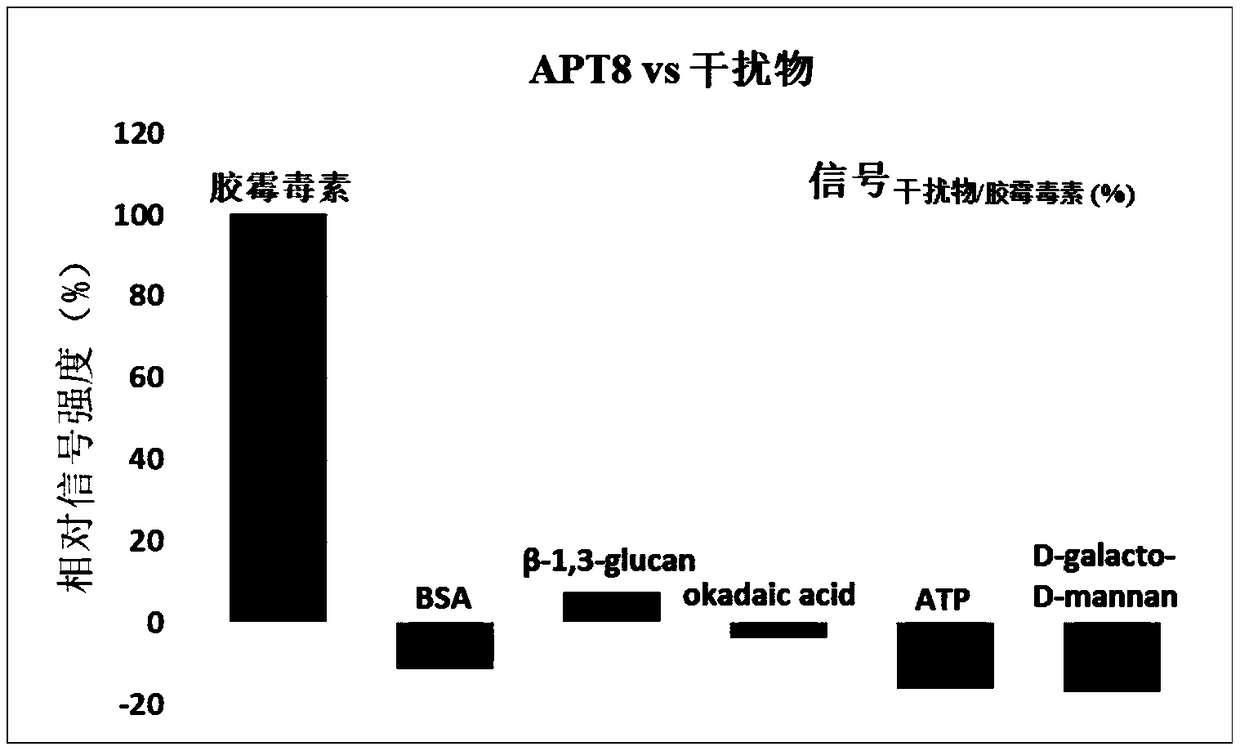 Group of nucleic acid aptamers specifically binding to gliotoxin and application of nucleic acid aptamers