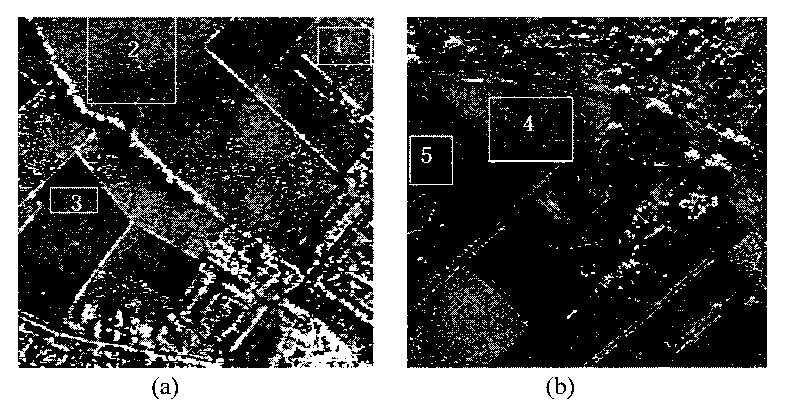 SAR image nonlocal mean value speckle filtering method