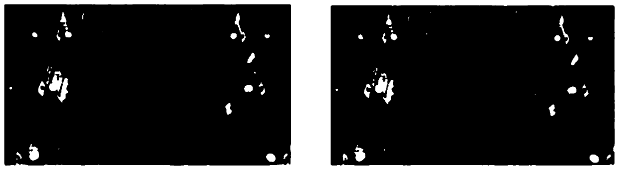 Multi-feature combined crowd grouping detection method in dense scene