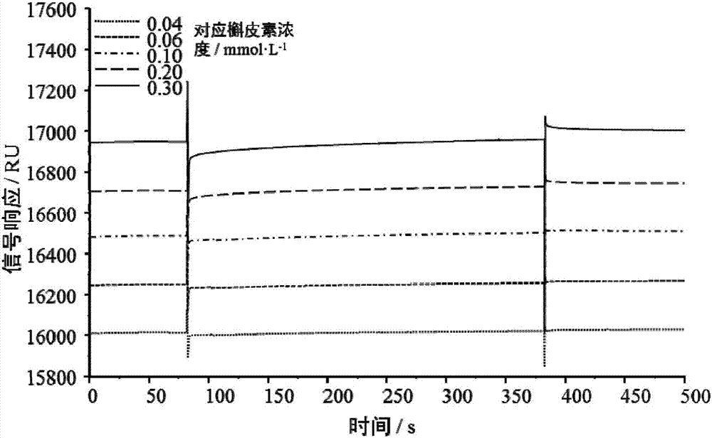 Surface plasma resonance (SPR) analysis method for determining combination level of quercetin and proteins