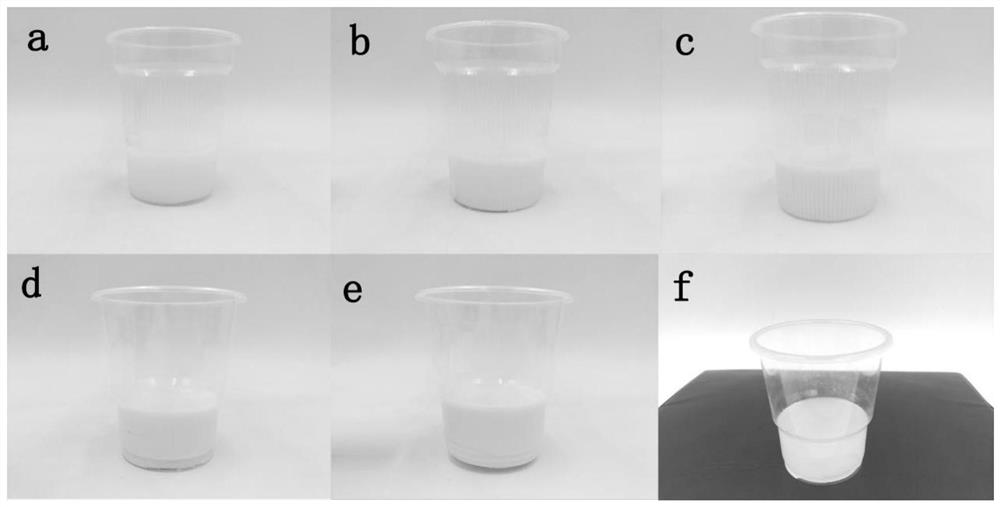 A kind of porous silica gel particles loaded with graphitic phase carbon nitride, paper with same and preparation method thereof