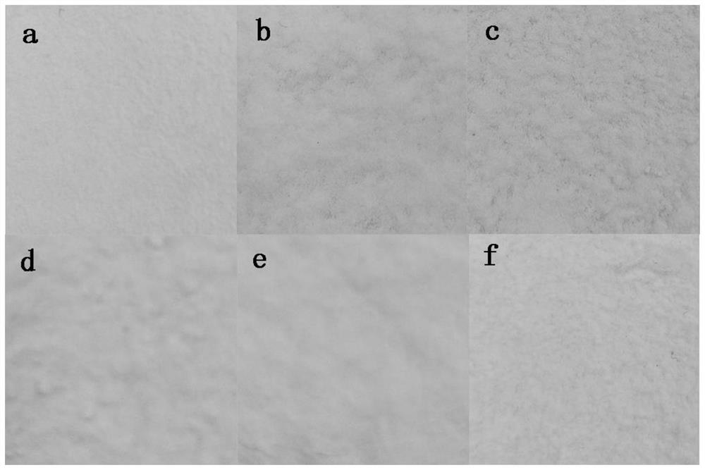 A kind of porous silica gel particles loaded with graphitic phase carbon nitride, paper with same and preparation method thereof