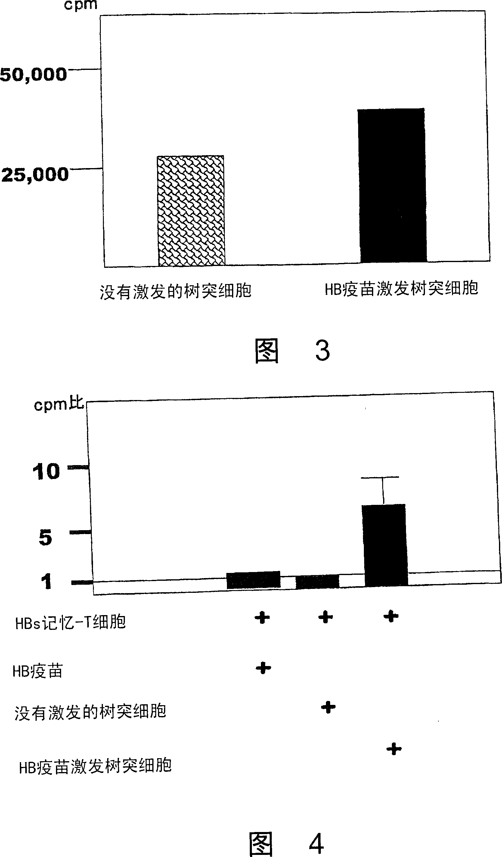 Dendritic cell obtained by antigen pulsing