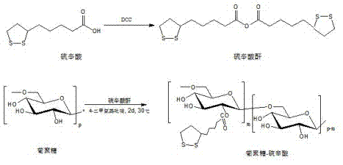 Thioctic acid-modified hydrophilic polymer for side chain