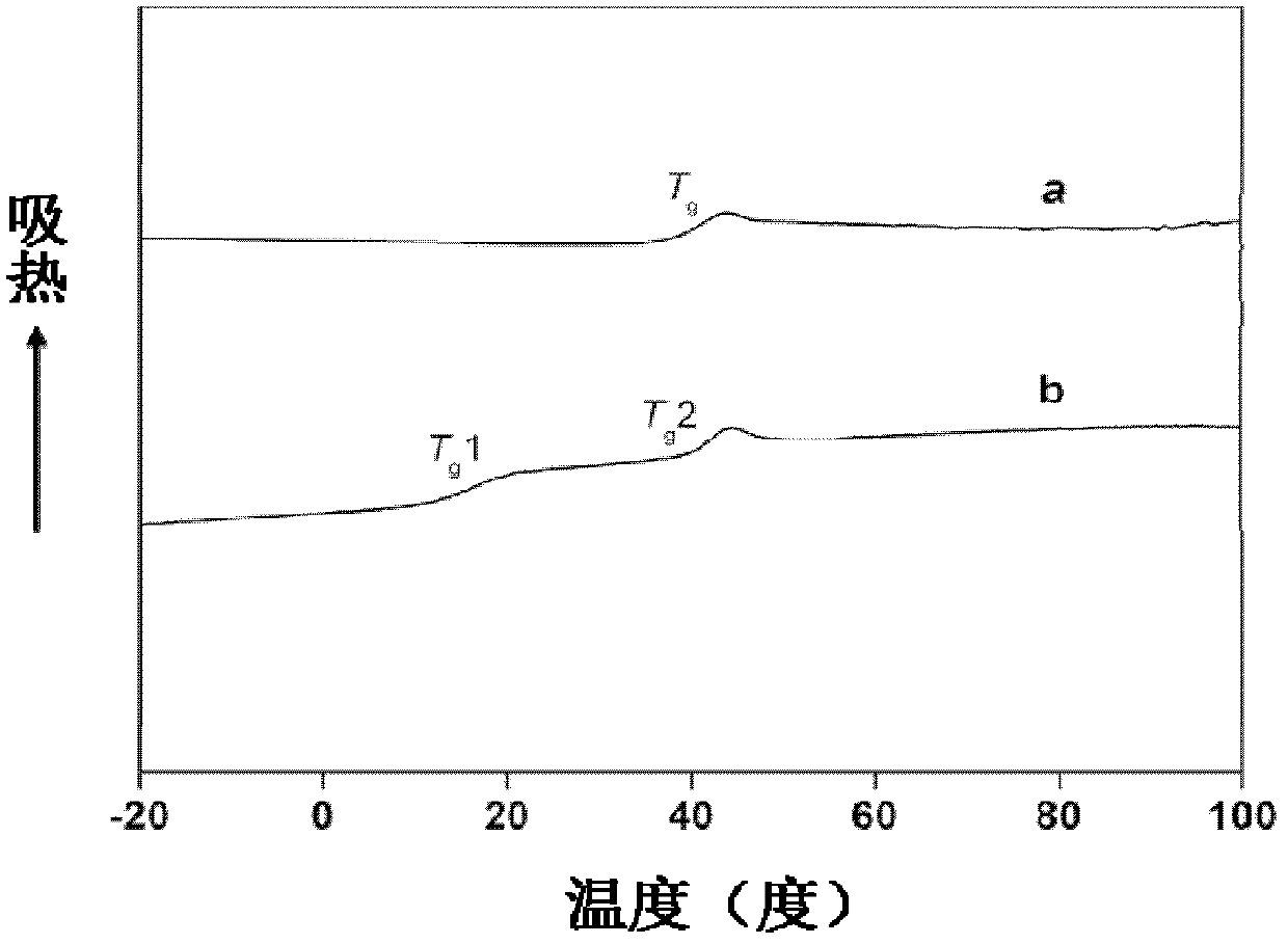 Method for preparing lactide-propylene oxide-CO2 terpolymer by using rare earth three-way catalyst