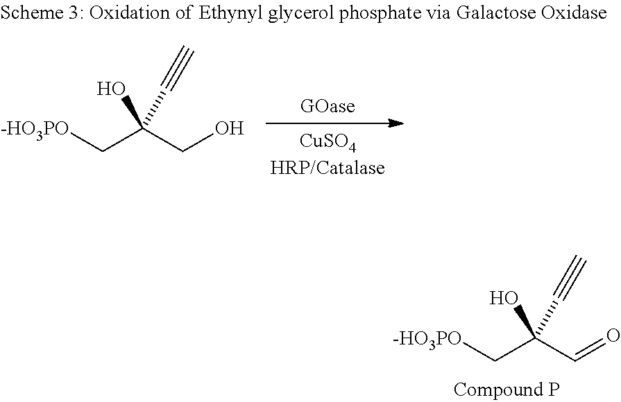 Engineered galactose oxidase variant enzymes