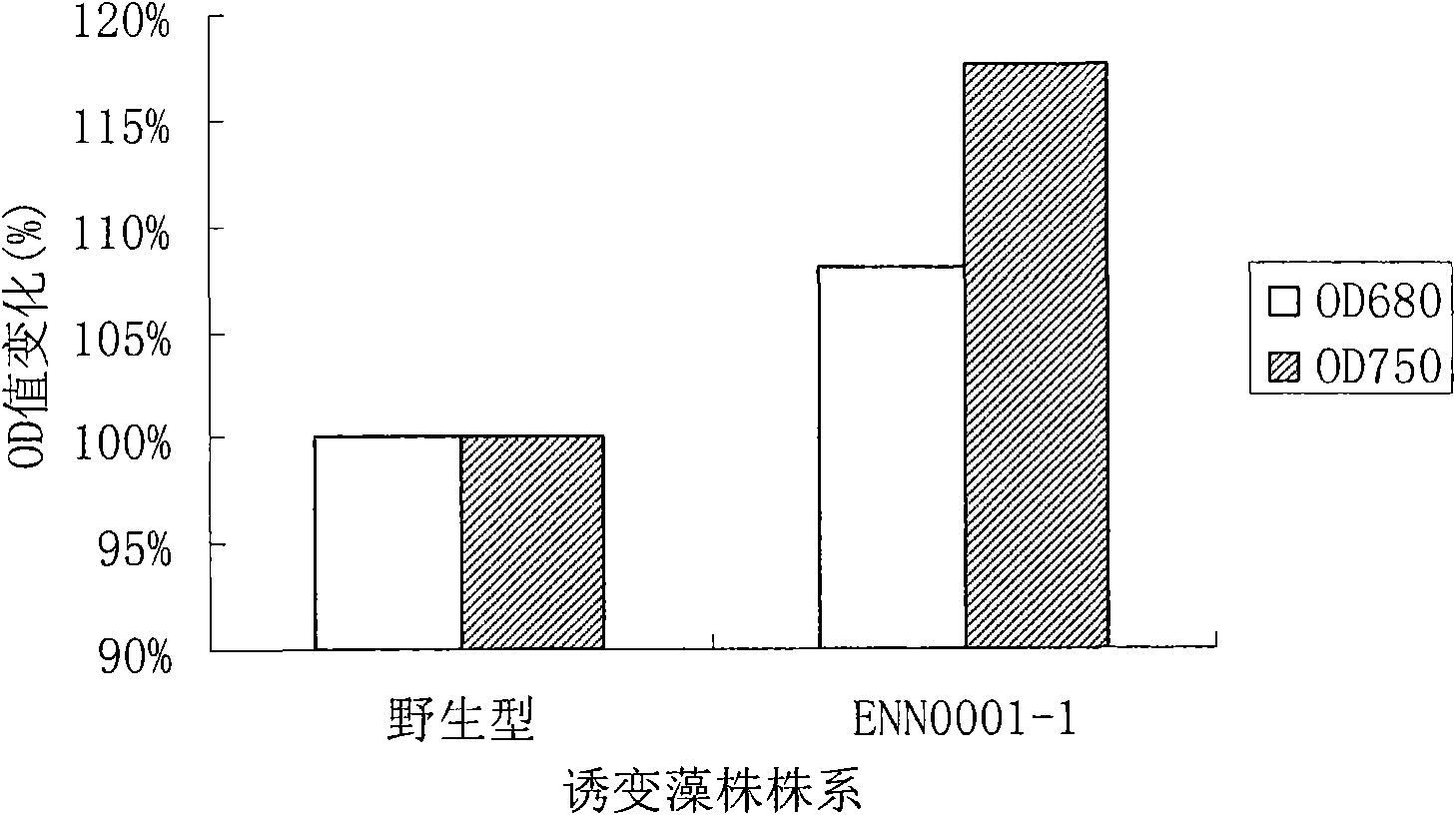 Dunaliella tertiolecta mutant strain with high growth rate and complex mutation breeding method thereof