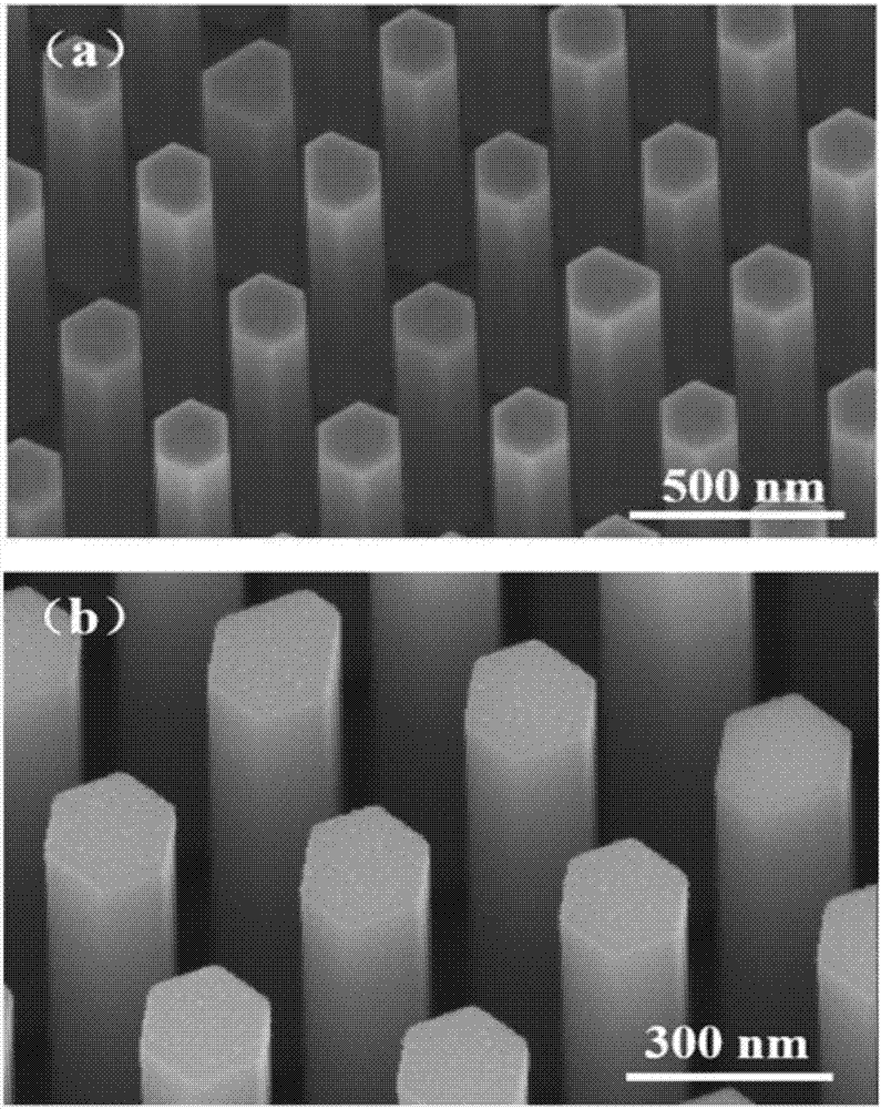 Ordered Pt-TiO2/InP nanowire array electrode material applied to hydrogen production through water decomposition and preparation method of material